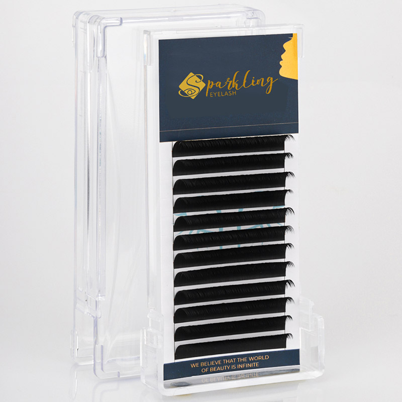 12 zerrenda Erraza Fan Bolumen Lash Extensions 0,07 D Curl Korean PBT Lashes
