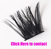 Lortu itxura zoragarria Lash Cluster eta Fluffy Lash Extensionekin